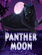 เปิดสูตร วัว วัว บา คา ร่าทาง เข้า slot1234 pg รับโชคใหญ่แบบง่ายๆ